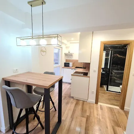 公寓 Mara&padrona 扎达尔