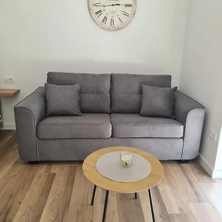 公寓 Mara&padrona 扎达尔